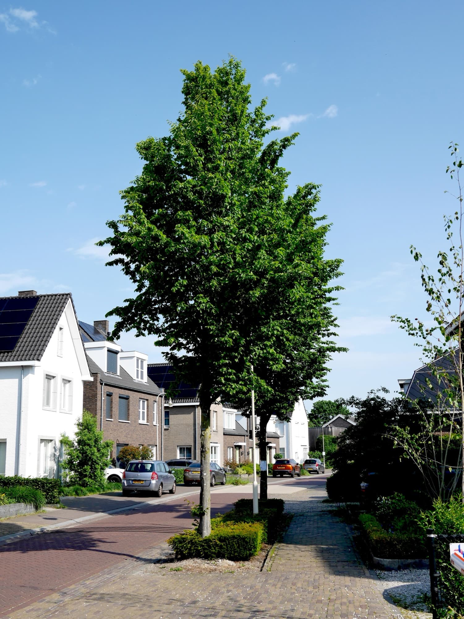 Gestelsestraat straatbeeld